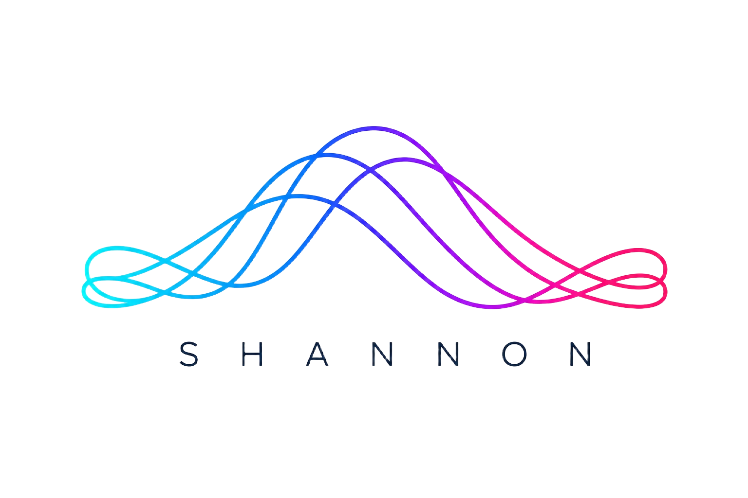 SHANNON合同会社